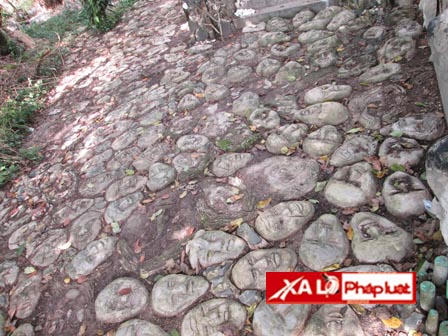 “Khu vườn kinh dị” nhiều năm ròng “nhát ma” người dân Tây Ninh